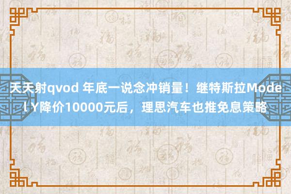 天天射qvod 年底一说念冲销量！继特斯拉Model Y降价10000元后，理思汽车也推免息策略