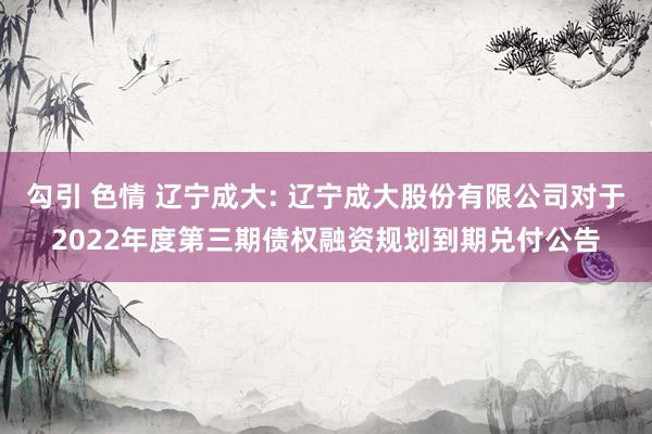 勾引 色情 辽宁成大: 辽宁成大股份有限公司对于2022年度第三期债权融资规划到期兑付公告