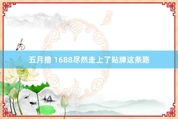 五月撸 1688尽然走上了贴牌这条路