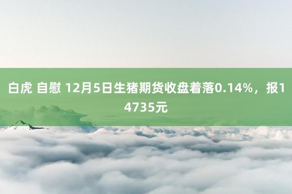 白虎 自慰 12月5日生猪期货收盘着落0.14%，报14735元