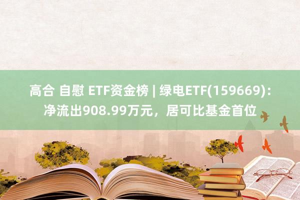 高合 自慰 ETF资金榜 | 绿电ETF(159669)：净流出908.99万元，居可比基金首位