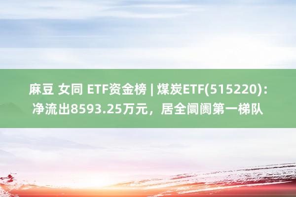 麻豆 女同 ETF资金榜 | 煤炭ETF(515220)：净流出8593.25万元，居全阛阓第一梯队