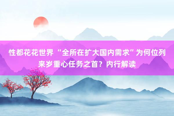 性都花花世界 “全所在扩大国内需求”为何位列来岁重心任务之首？内行解读