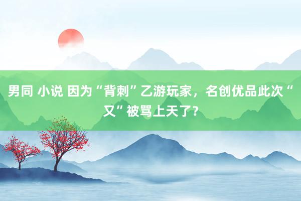 男同 小说 因为“背刺”乙游玩家，名创优品此次“又”被骂上天了？