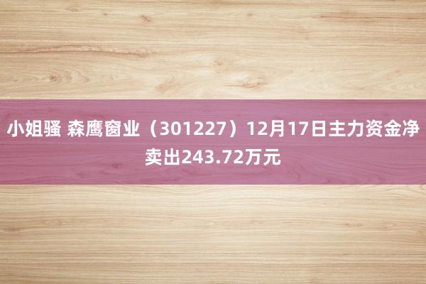 小姐骚 森鹰窗业（301227）12月17日主力资金净卖出243.72万元