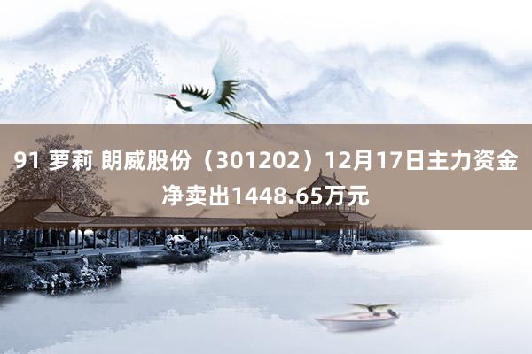 91 萝莉 朗威股份（301202）12月17日主力资金净卖出1448.65万元