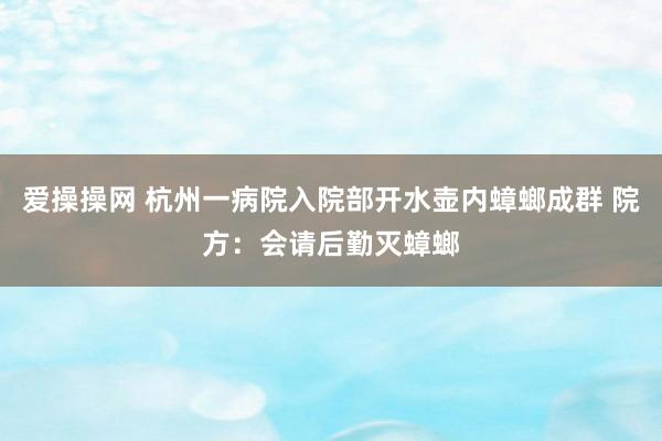 爱操操网 杭州一病院入院部开水壶内蟑螂成群 院方：会请后勤灭蟑螂