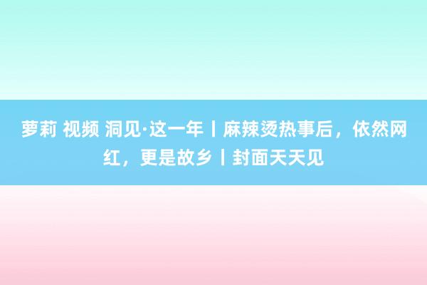 萝莉 视频 洞见·这一年丨麻辣烫热事后，依然网红，更是故乡丨封面天天见