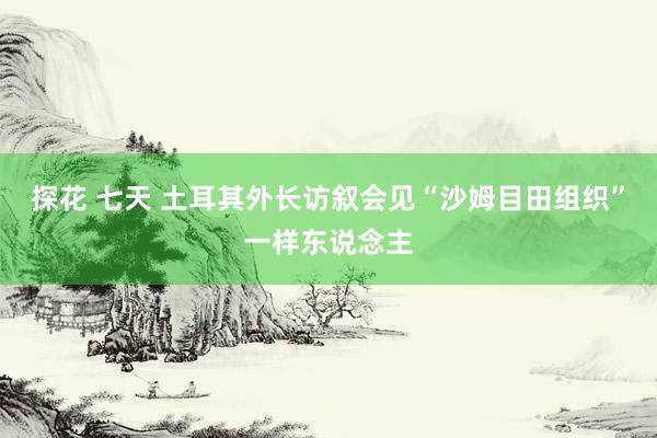 探花 七天 土耳其外长访叙会见“沙姆目田组织”一样东说念主