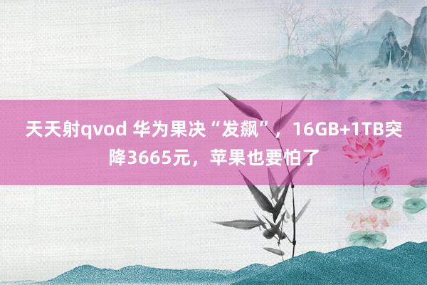 天天射qvod 华为果决“发飙”，16GB+1TB突降3665元，苹果也要怕了