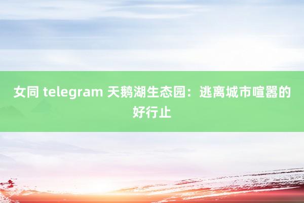 女同 telegram 天鹅湖生态园：逃离城市喧嚣的好行止