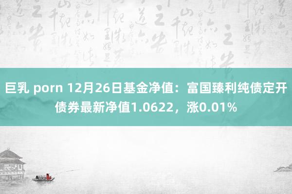 巨乳 porn 12月26日基金净值：富国臻利纯债定开债券最新净值1.0622，涨0.01%