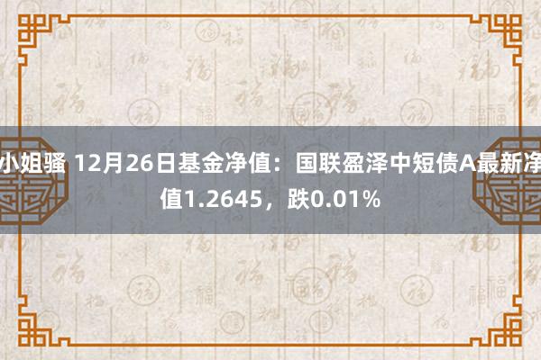 小姐骚 12月26日基金净值：国联盈泽中短债A最新净值1.2645，跌0.01%