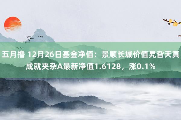 五月撸 12月26日基金净值：景顺长城价值旯旮天真成就夹杂A最新净值1.6128，涨0.1%