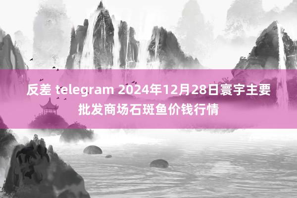 反差 telegram 2024年12月28日寰宇主要批发商场石斑鱼价钱行情