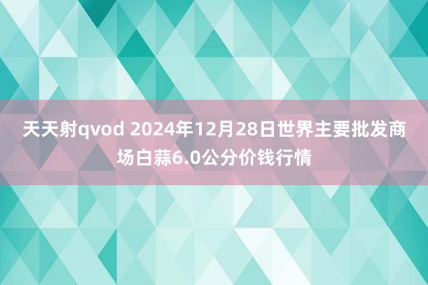 天天射qvod 2024年12月28日世界主要批发商场白蒜6.0公分价钱行情