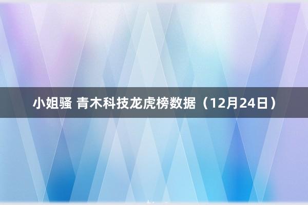 小姐骚 青木科技龙虎榜数据（12月24日）