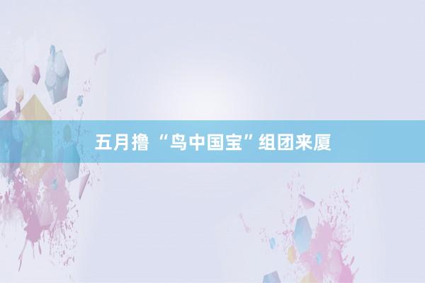 五月撸 “鸟中国宝”组团来厦