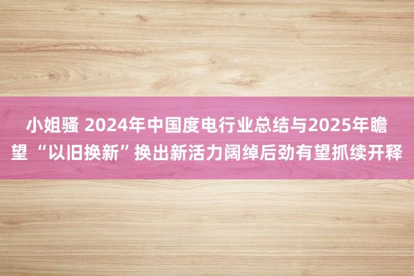 小姐骚 2024年中国度电行业总结与2025年瞻望 “以旧换新”换出新活力阔绰后劲有望抓续开释