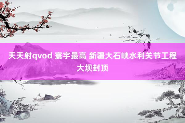 天天射qvod 寰宇最高 新疆大石峡水利关节工程大坝封顶