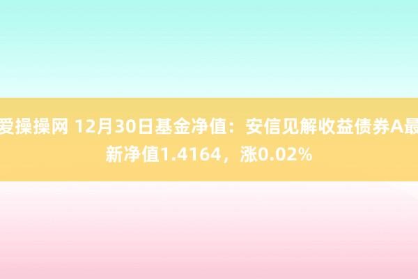 爱操操网 12月30日基金净值：安信见解收益债券A最新净值1.4164，涨0.02%