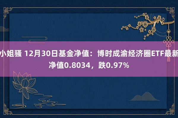 小姐骚 12月30日基金净值：博时成渝经济圈ETF最新净值0.8034，跌0.97%