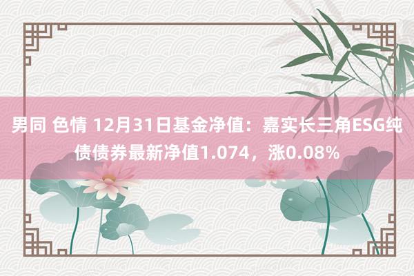 男同 色情 12月31日基金净值：嘉实长三角ESG纯债债券最新净值1.074，涨0.08%