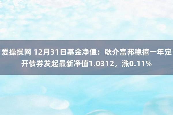 爱操操网 12月31日基金净值：耿介富邦稳禧一年定开债券发起最新净值1.0312，涨0.11%