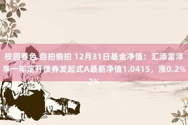 校园春色 自拍偷拍 12月31日基金净值：汇添富淳享一年定开债券发起式A最新净值1.0415，涨0.2%