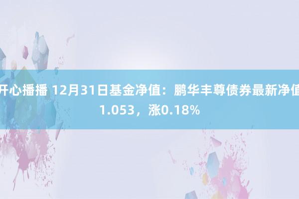 开心播播 12月31日基金净值：鹏华丰尊债券最新净值1.053，涨0.18%