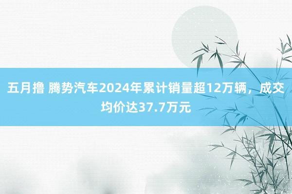 五月撸 腾势汽车2024年累计销量超12万辆，成交均价达37.7万元