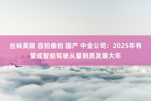 丝袜美腿 自拍偷拍 国产 中金公司：2025年有望成智能驾驶从量到质发展大年