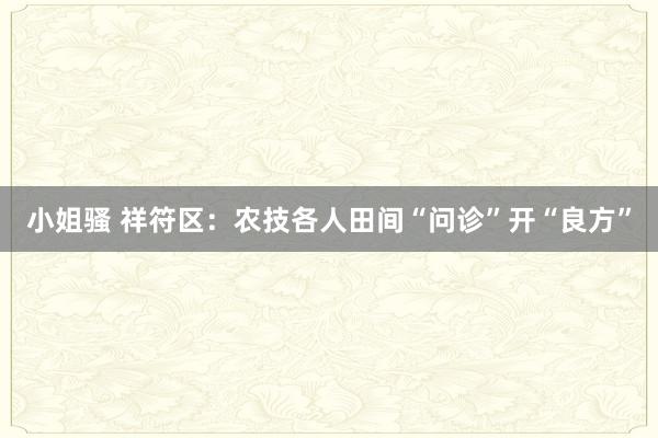 小姐骚 祥符区：农技各人田间“问诊”开“良方”