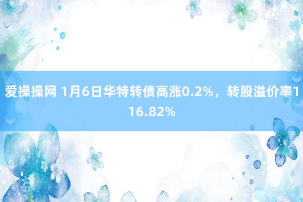 爱操操网 1月6日华特转债高涨0.2%，转股溢价率116.82%