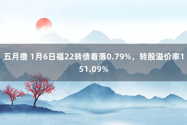 五月撸 1月6日福22转债着落0.79%，转股溢价率151.09%