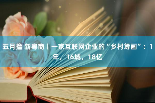 五月撸 新粤商丨一家互联网企业的“乡村筹画”：1年，16城，18亿