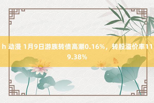 h 动漫 1月9日游族转债高潮0.16%，转股溢价率119.38%