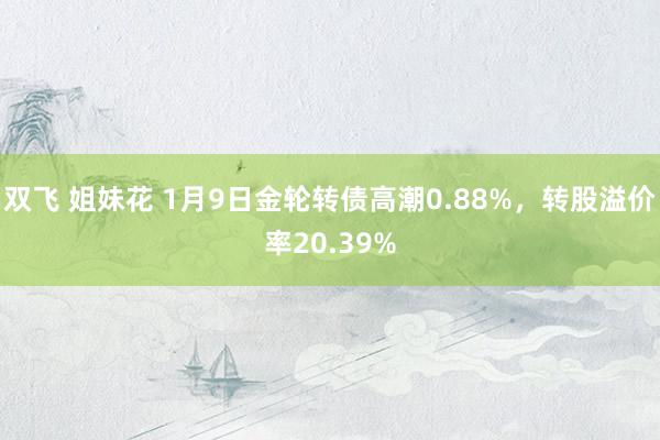 双飞 姐妹花 1月9日金轮转债高潮0.88%，转股溢价率20.39%