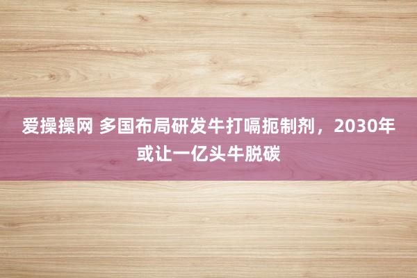 爱操操网 多国布局研发牛打嗝扼制剂，2030年或让一亿头牛脱碳