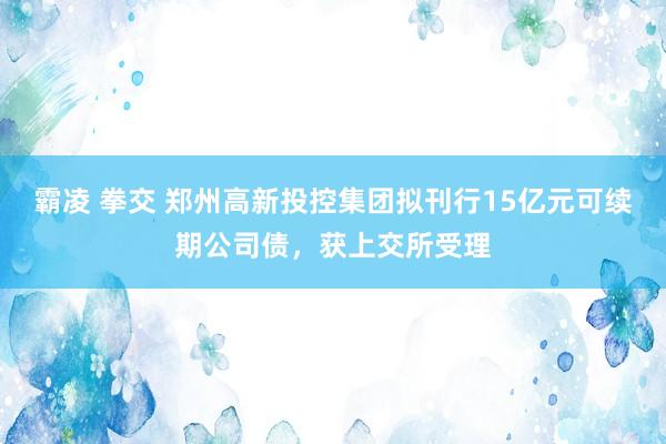 霸凌 拳交 郑州高新投控集团拟刊行15亿元可续期公司债，获上交所受理