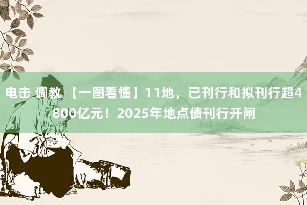 电击 调教 【一图看懂】11地，已刊行和拟刊行超4800亿元！2025年地点债刊行开闸